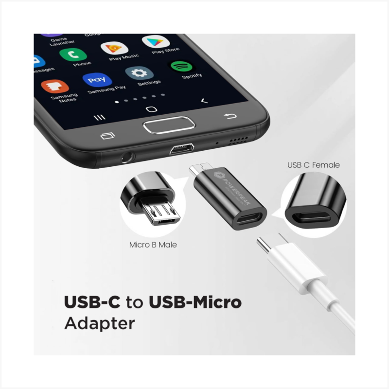 PowerPeak USB-C to Micro Adapter - Image 2